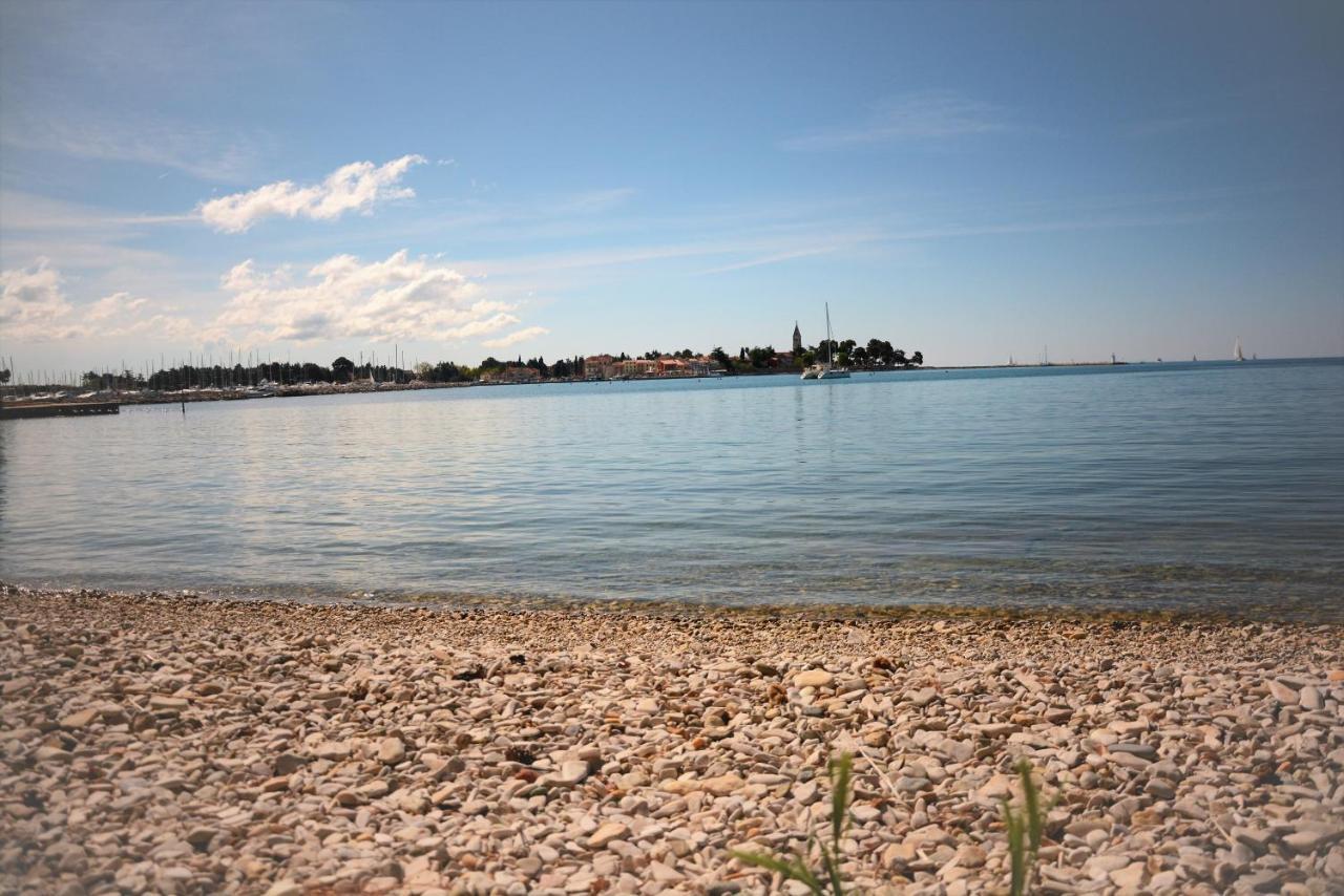 Villa Vienna Novigrad  Zewnętrze zdjęcie