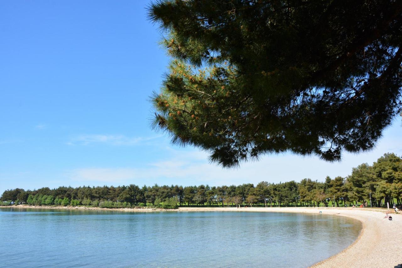 Villa Vienna Novigrad  Zewnętrze zdjęcie