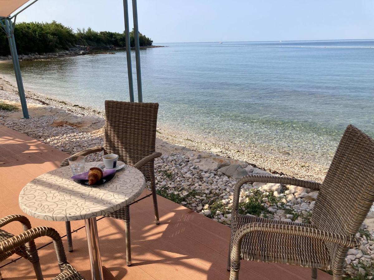 Villa Vienna Novigrad  Zewnętrze zdjęcie